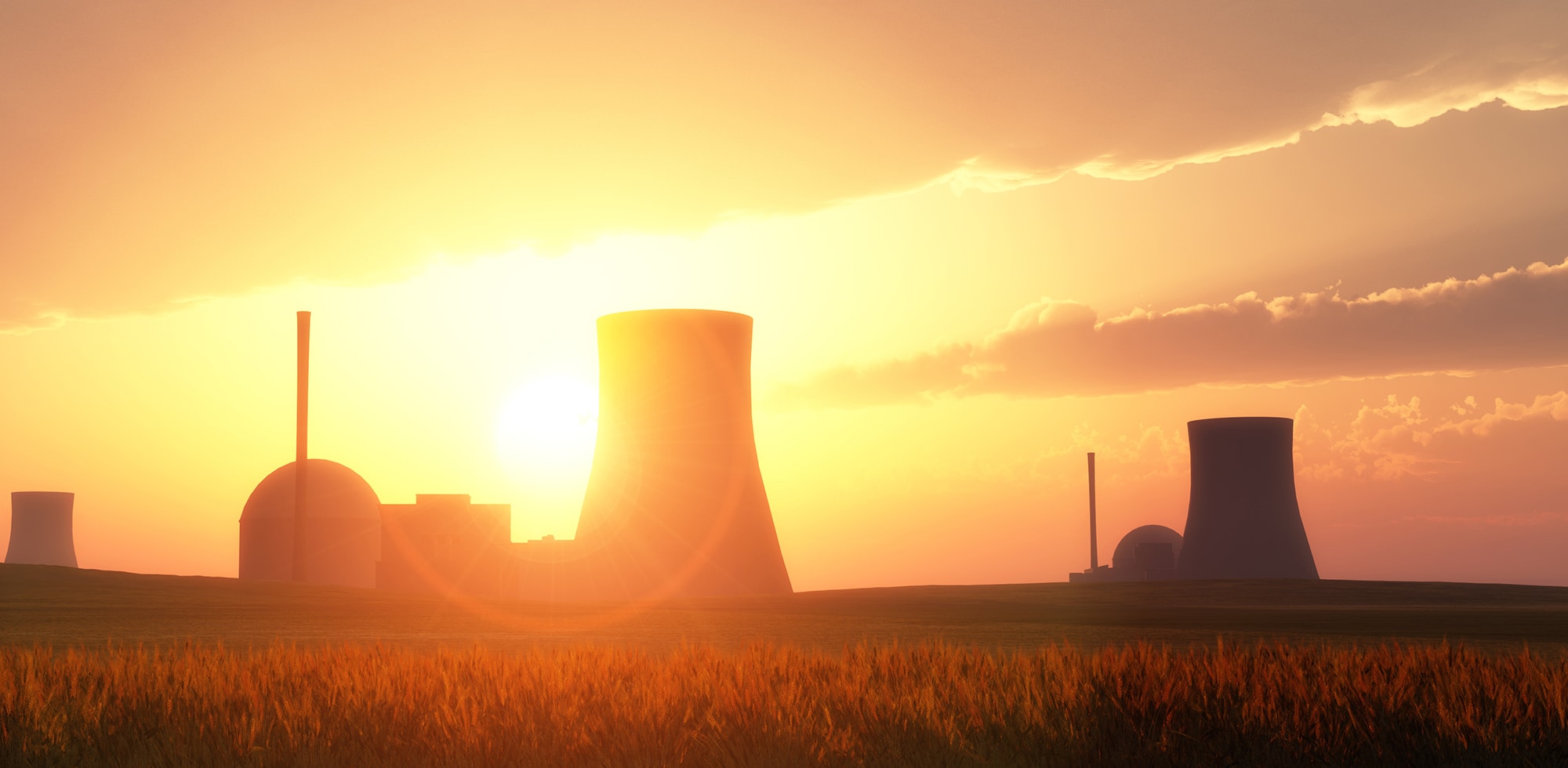Nuclear Energy Services